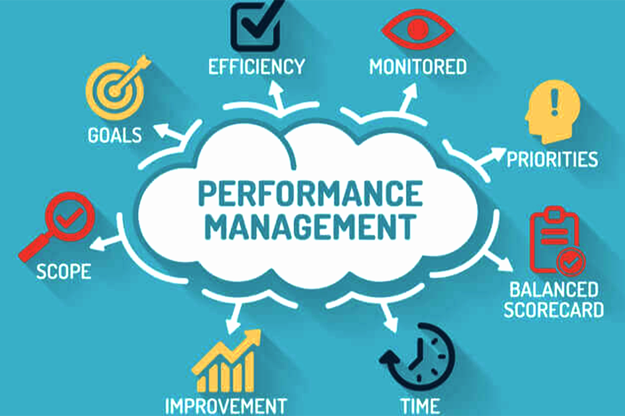 Performance Management & Appraisal Systems