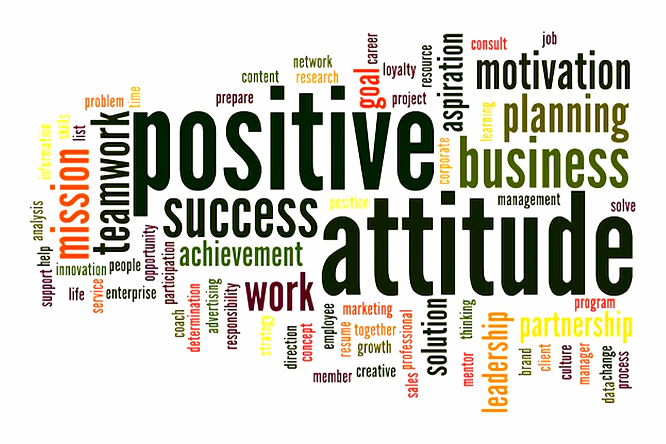 Positive Attitude & Professional Behavior
