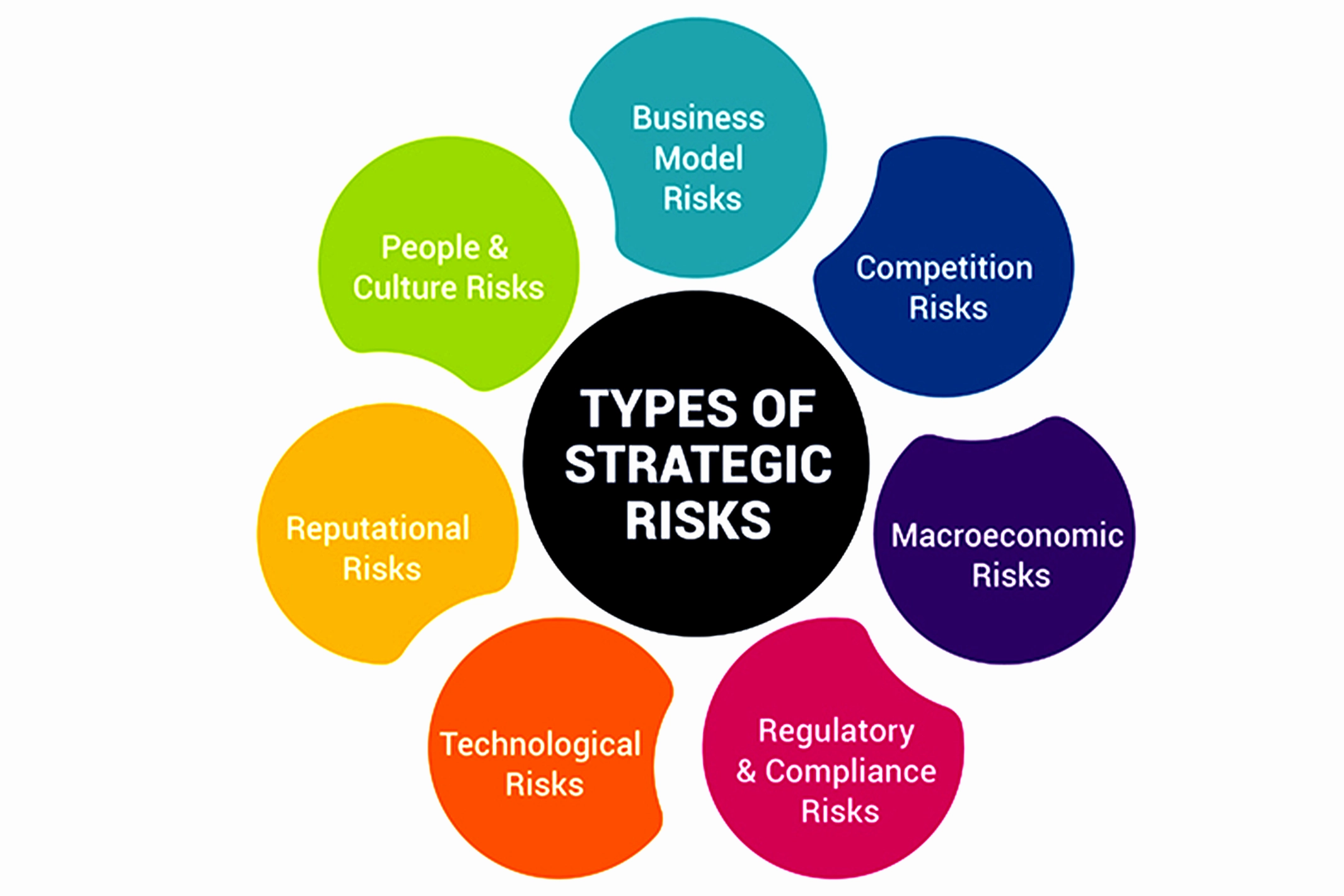Strategic Risk Management